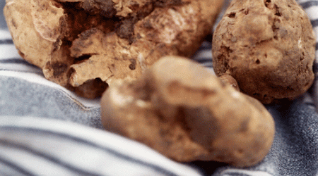 Truffles