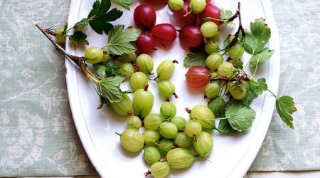 Gooseberries