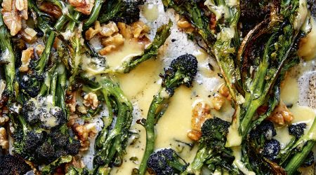 Anchovy PSB 075 PUB
