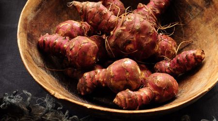 Jerusalem artichoke
