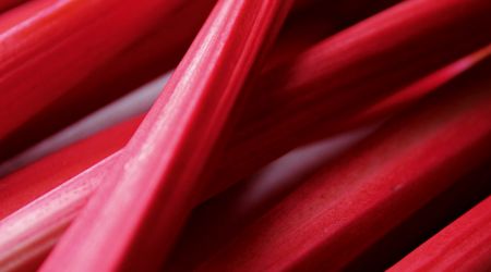 Rhubarb