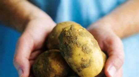 Potatoes