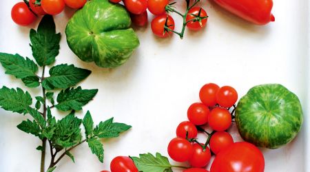 Tomatoes