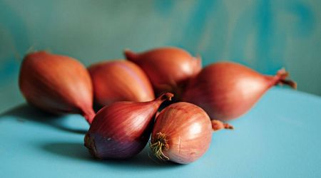 Shallots