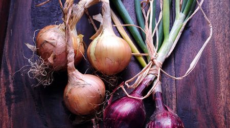 Onions