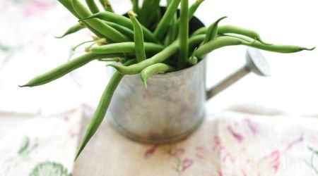 French beans
