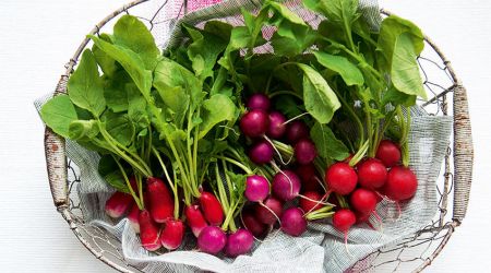 Radishes