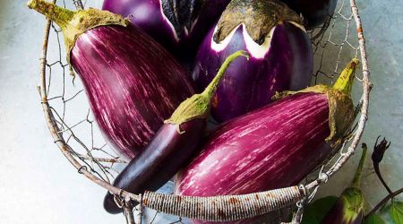 Aubergines (1 Of 1)