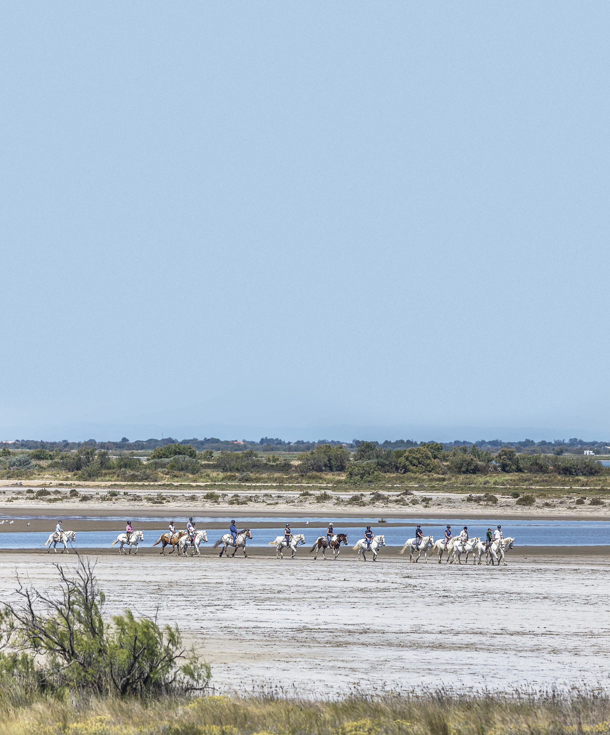 Balade cheval plage camargue auberge cavaliere du pont des bannes 43