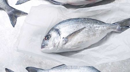 Bream 2 9349