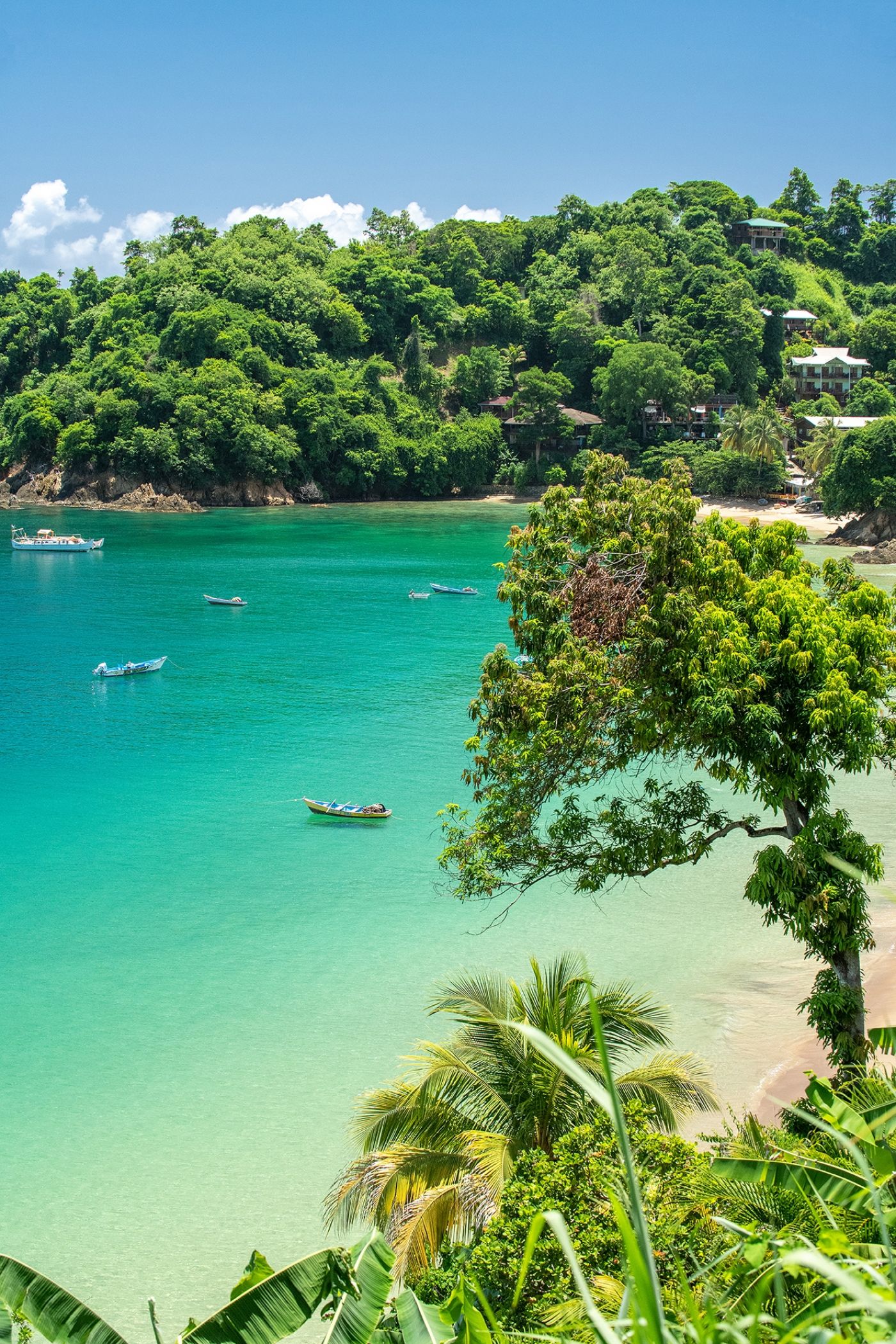 Castara Bay001 6090