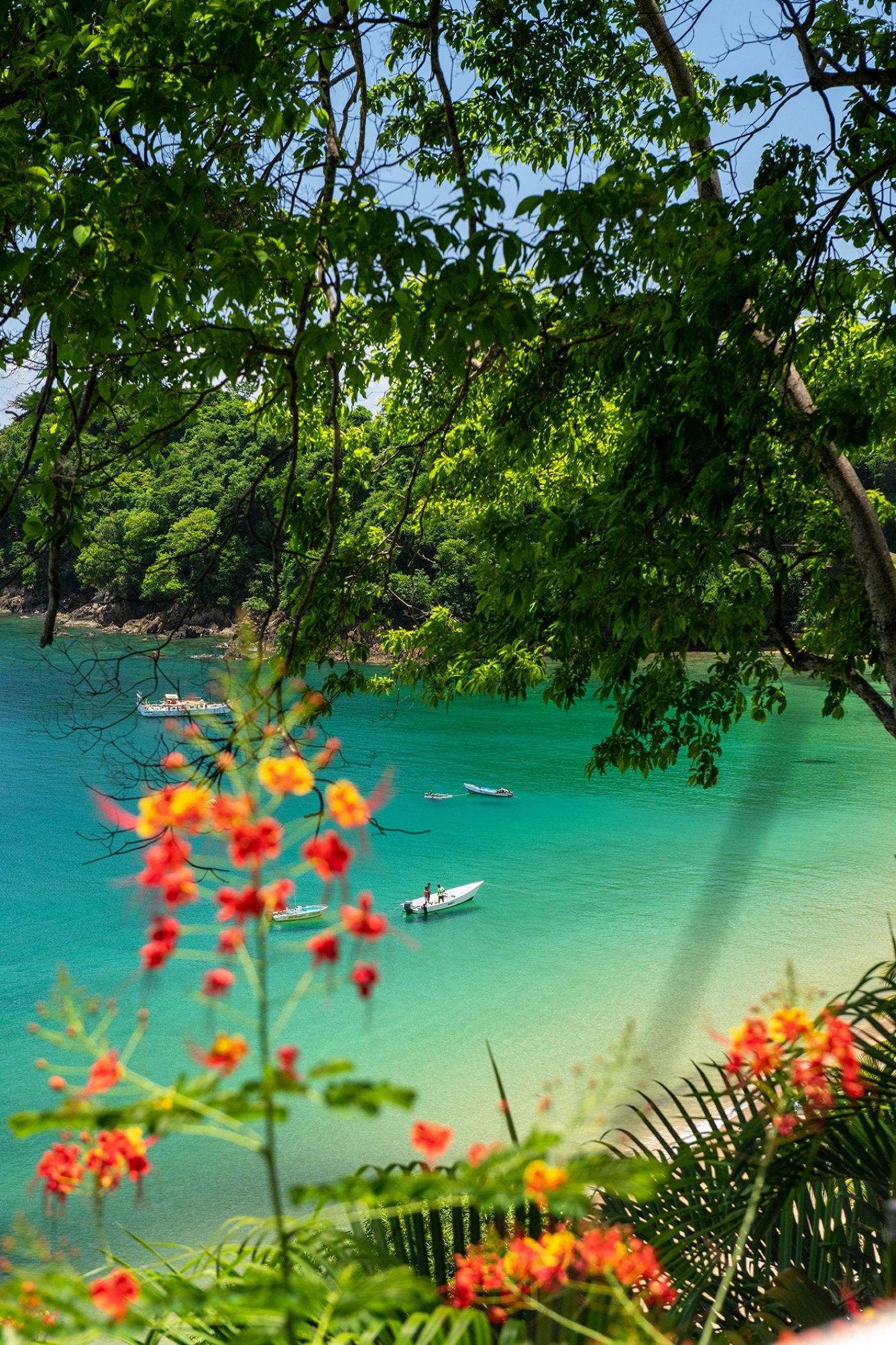 Castara Bay004 6131