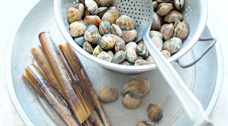 Clams 5963 2