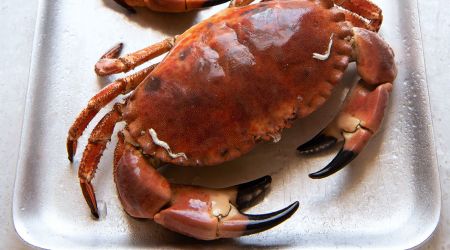 Cooked Crabs 4067Croppedweb