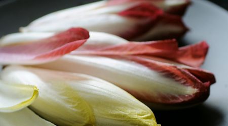 Chicory