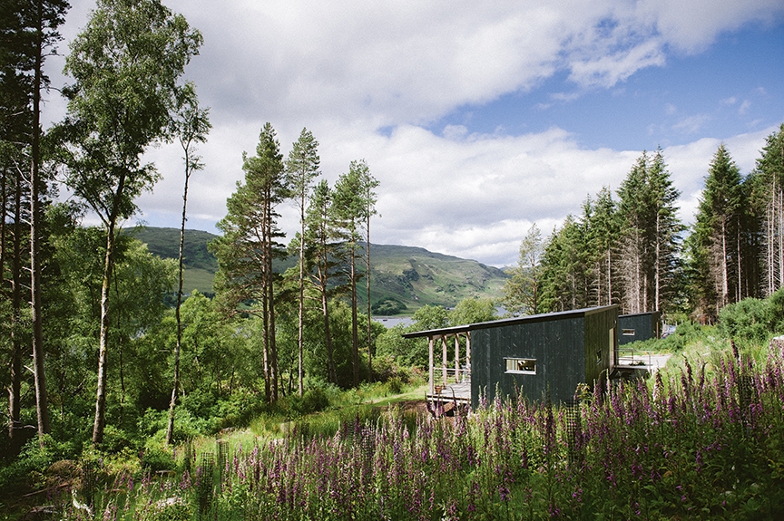 Ecotone Pine Marten Cabin Summer 3