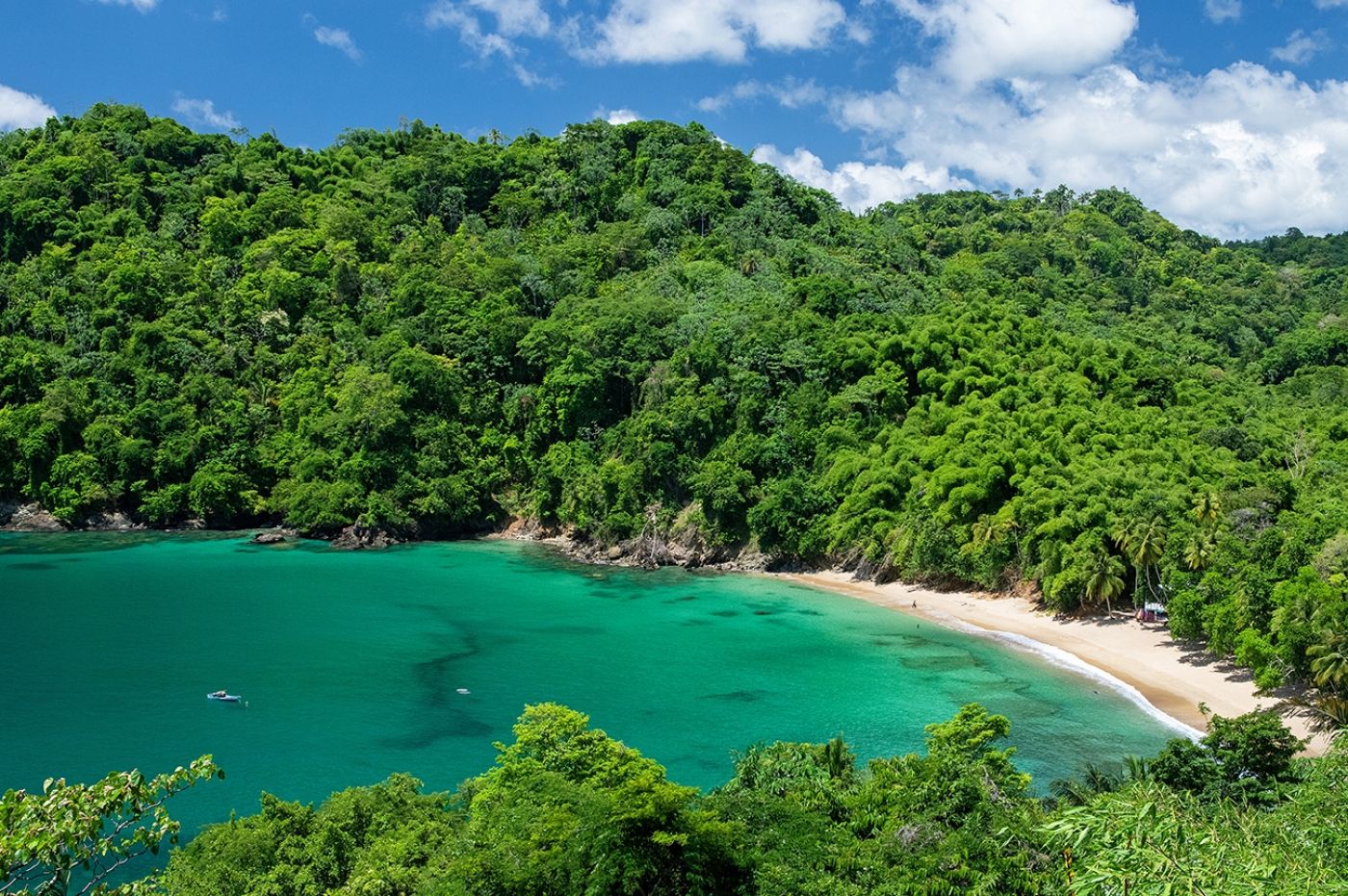 Englishmans Bay002 6163