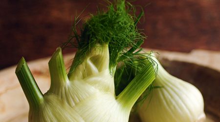 Fennel