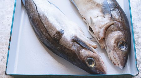 Haddock Blue 5175