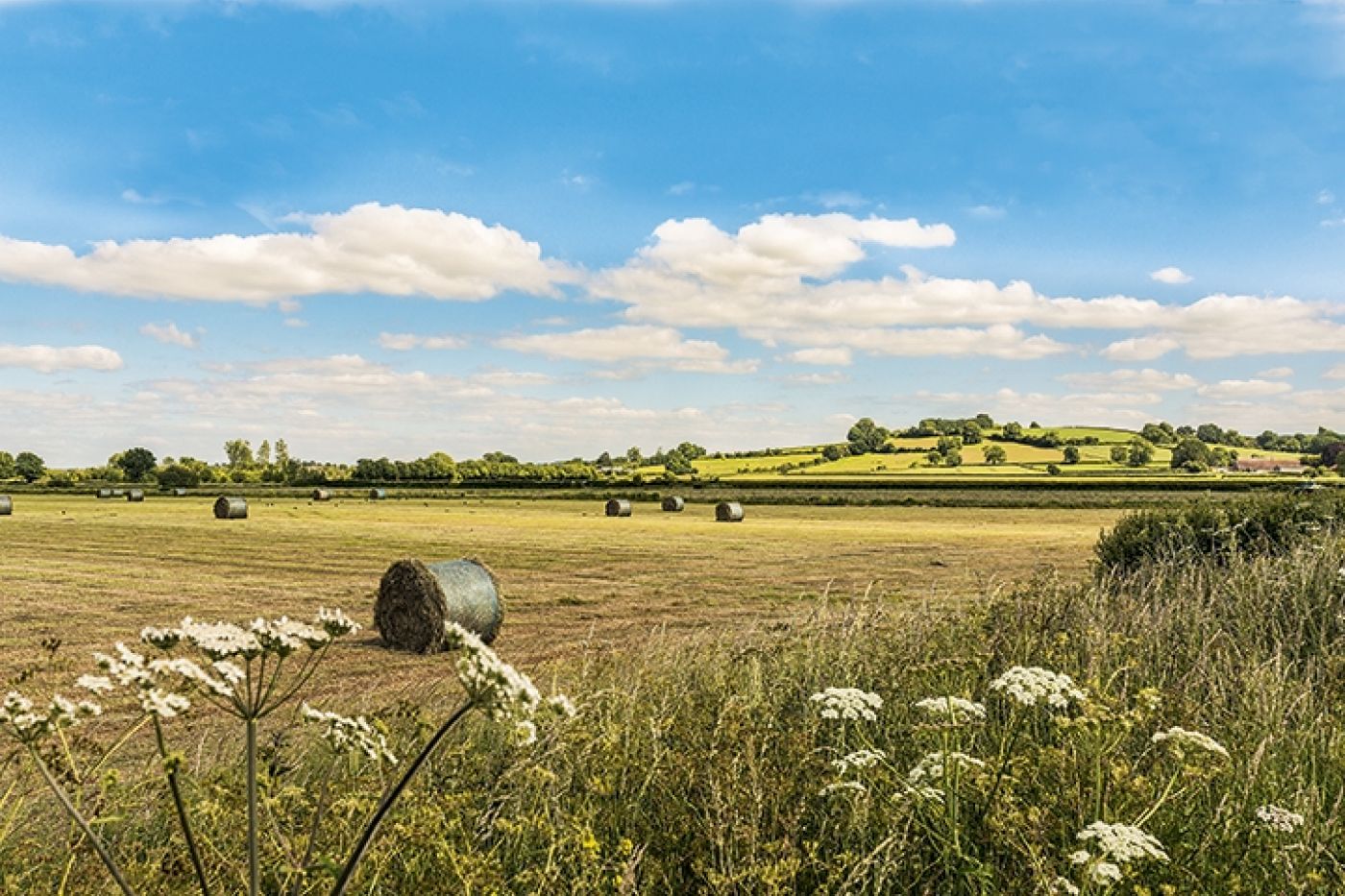 Hambridge near Brown Forrest Smokery Gen Views near Smokery 8429