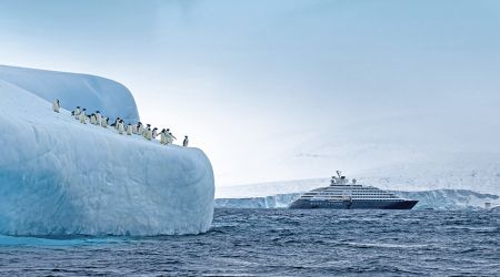 Image Credit Roger Pimenta 2
