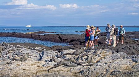 Intrepid Travel Galapagos Pax Iguanas2
