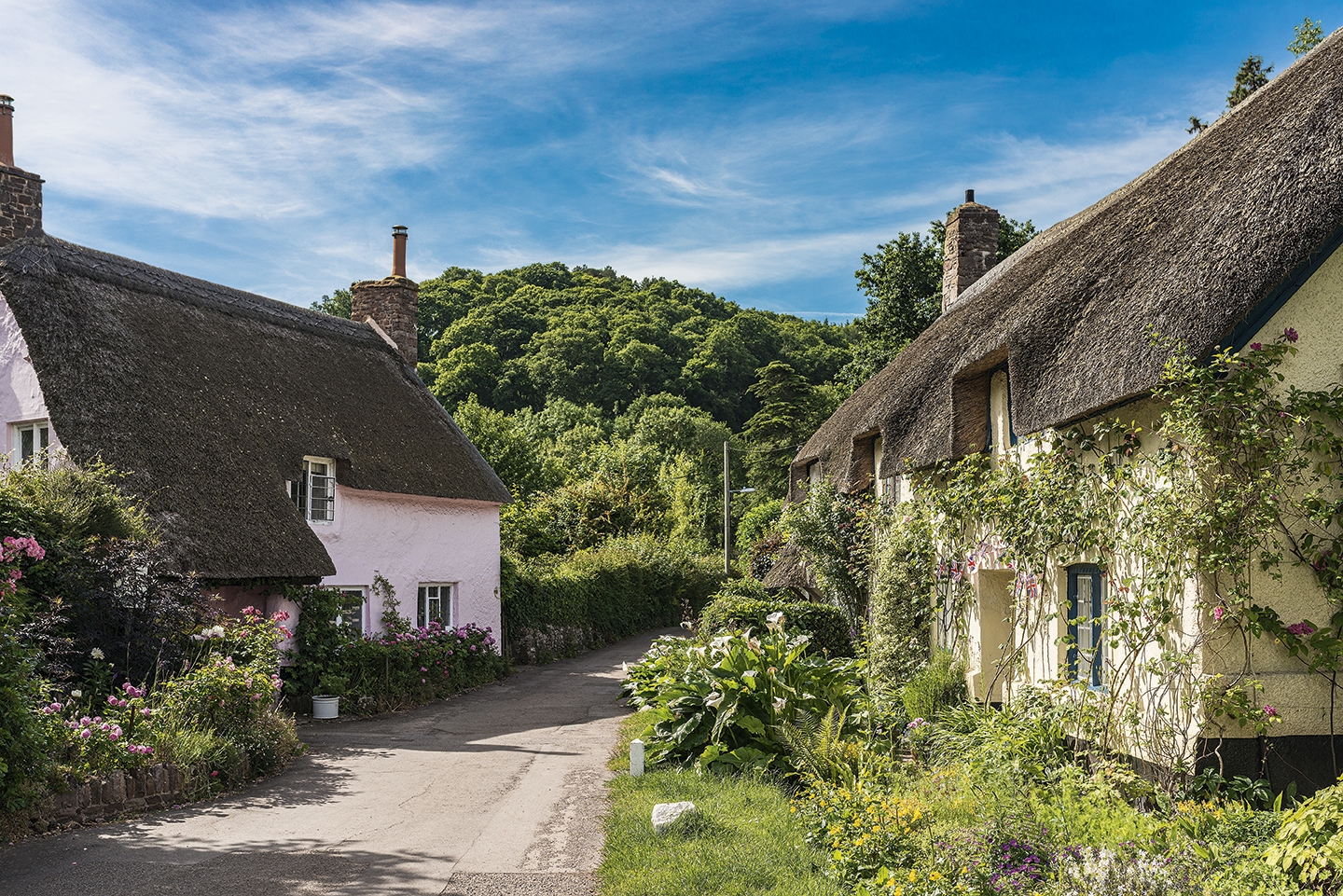 Luttrell Arms Hotel Dunster Village General Views 9672