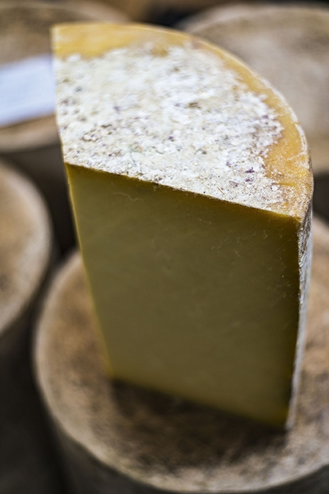 Montgomery Cheddar Jamie Montgomery 8182