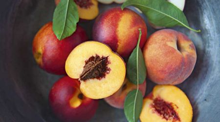 Nectarine's and Peach's