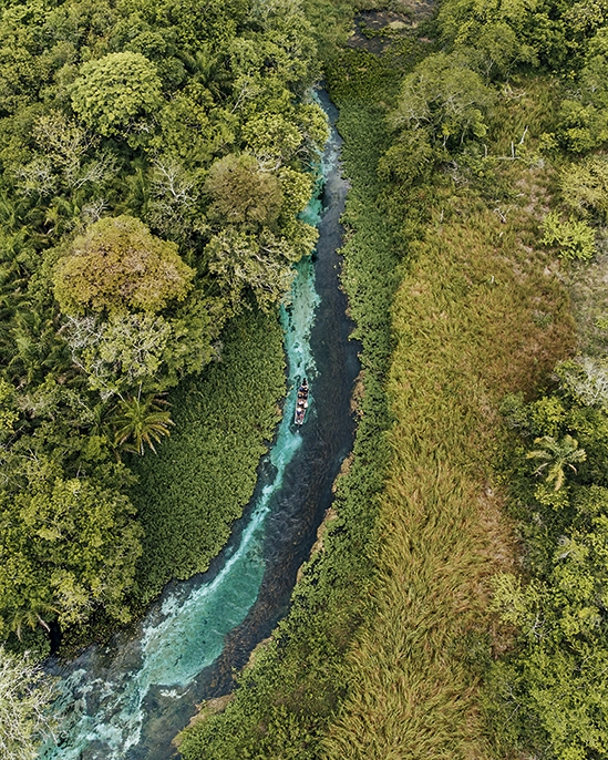 Paulo freitas u Tf1 O4s DQ2 Y unsplash