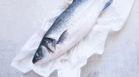 Seabass 0295 Newtif