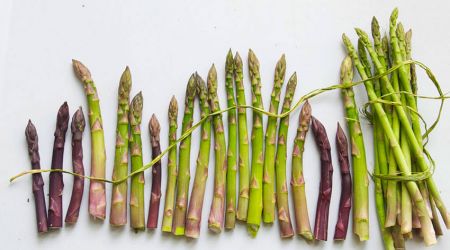 Asparagus