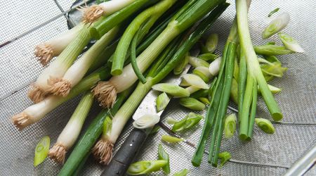 Spring Onion