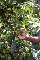 Uganda DSC 4655