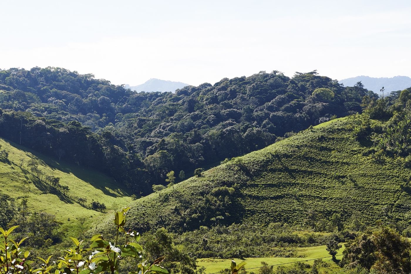 Uganda DSC 4759