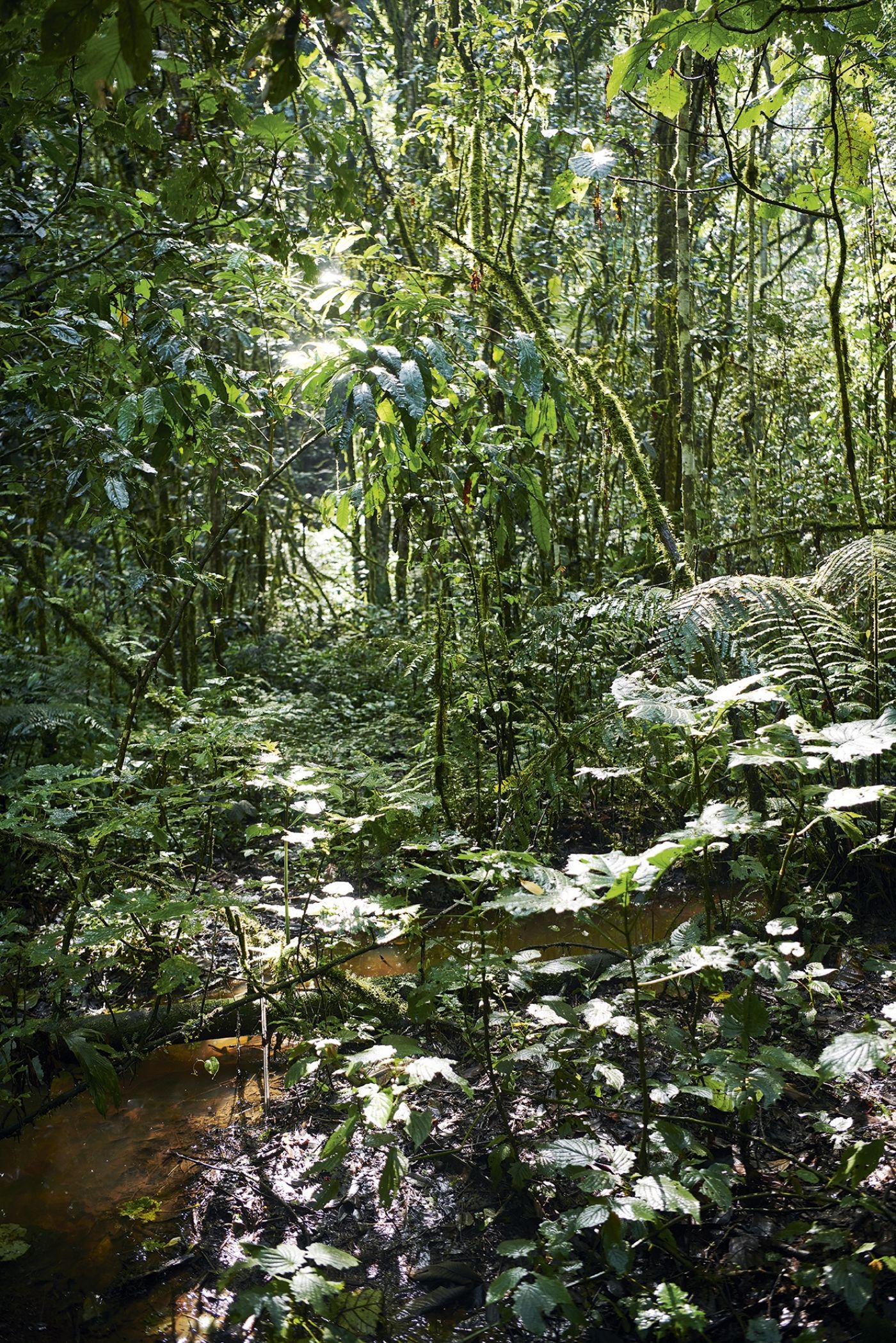 Uganda DSC 4773