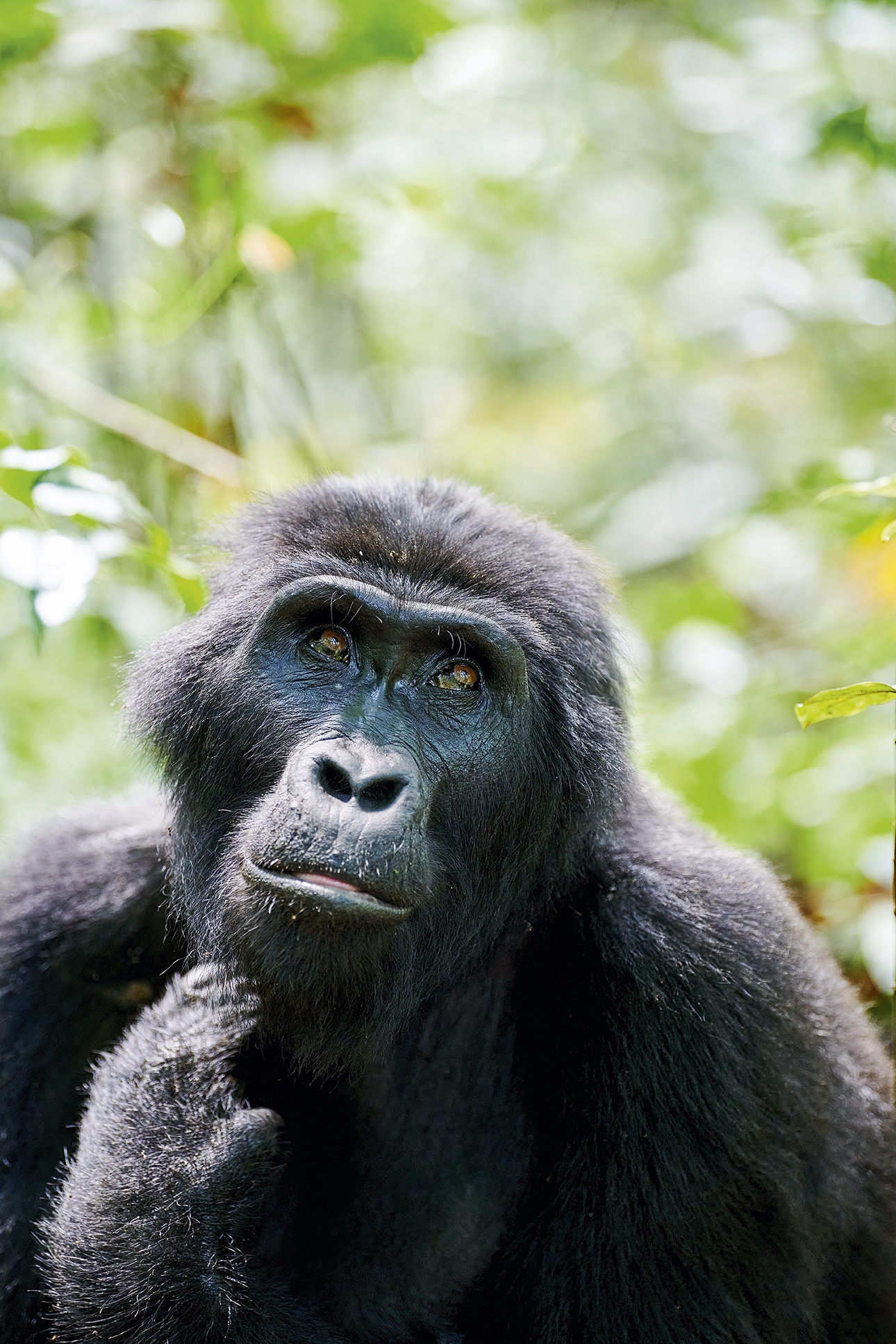 Uganda DSC 4985 S Ai
