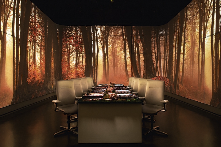 UV ROOM WOODS AUTUMN photo Scott Wright